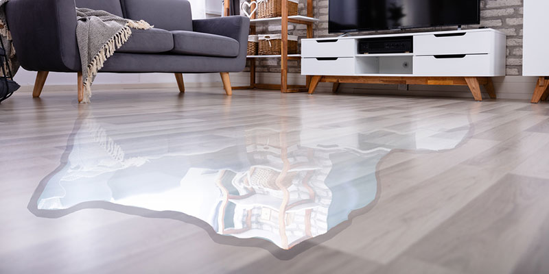 Read more about the article Water Damage Inspection Can Help After a Flood