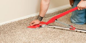 Read more about the article Professional Carpet Installation