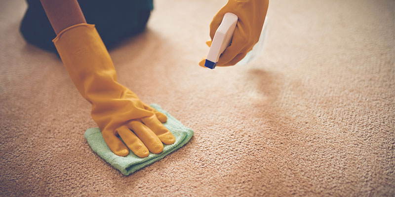 You are currently viewing 3 Expert Tips For Protecting Your Carpet